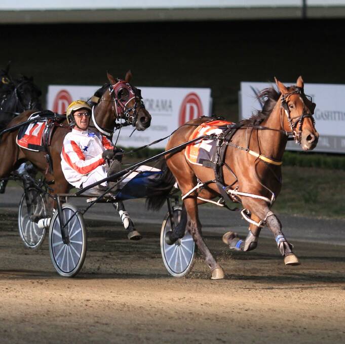 DISQUALIFIED: Jason Grimson, pictured driving his star mare Dont Think Twice, has been banned for three months after betting against his horses.