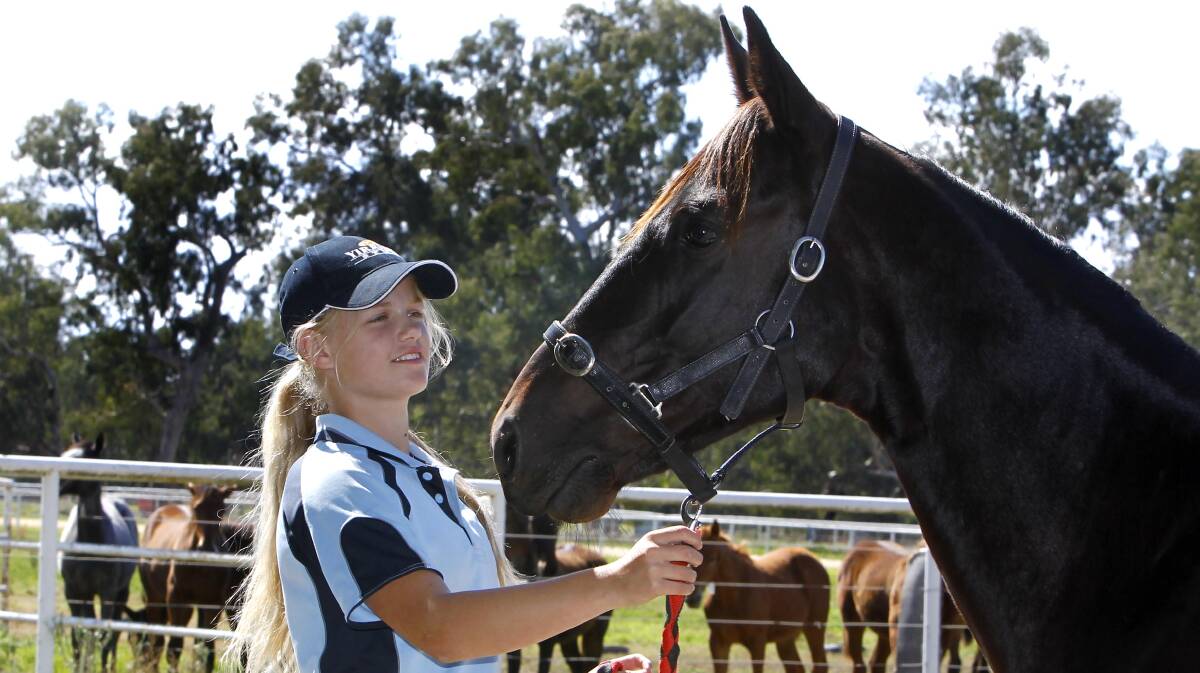 HOPEFUL: Stablehand Mekenzie Woodhouse with Padrisimo at Yirribee Pacing Stud before his run in the Easter Cup on Sunday. Picture: Les Smith