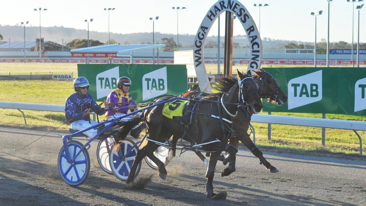 Our Pepperjack defeating Gotta Bewitched in a heat of the Menangle Country Series earlier this month.