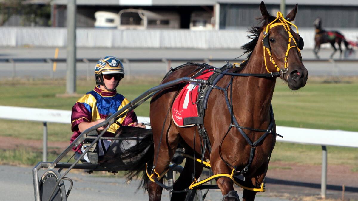 Former Leeton reinsman Mark Pitt is one of four drivers charged over an alleged harness race fixing operation.