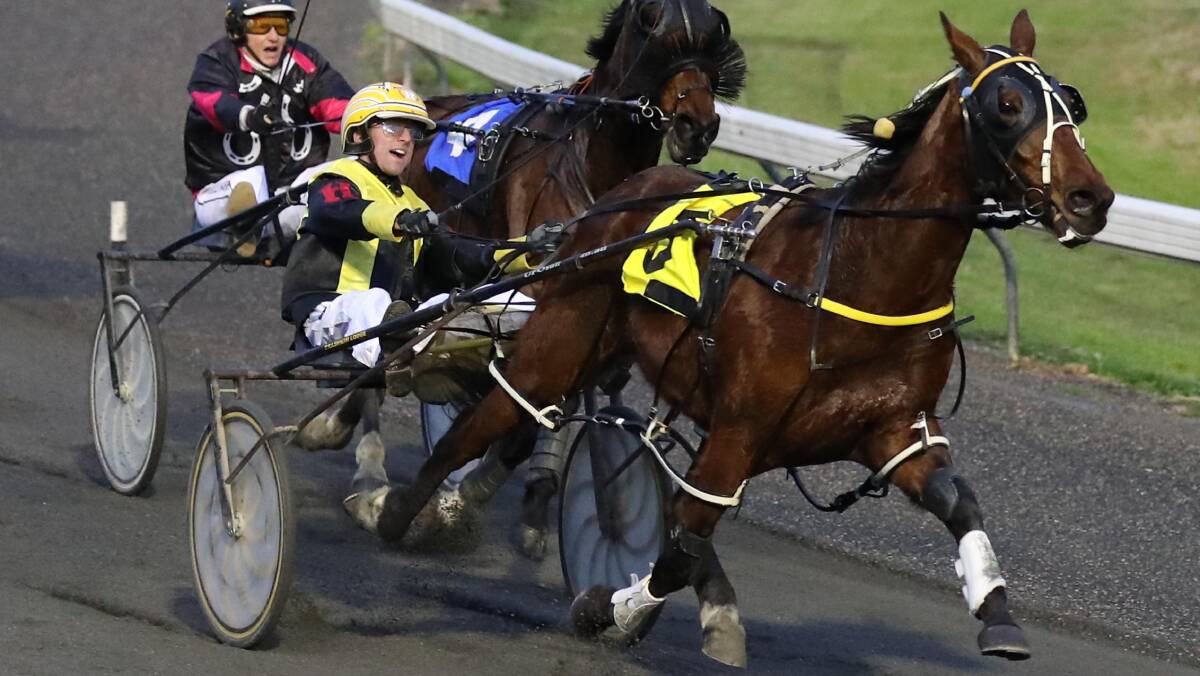 GOOD SHOT: Junee reinsman Cameron Hart has a strong book of drives at Leeton on Friday including My Littledreamgirl, Badge Of Gameness and Doctor Feld, pictured. Picture: Les Smith