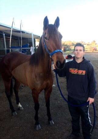 NEW PROSPECT: Leeton harness racing driver Reece Maguire with Comekissmequick shortly after the three-year-old filly arrived from New Zealand.