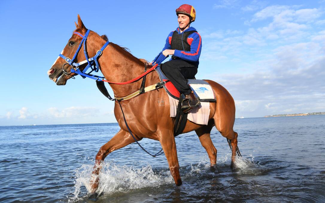 RIVERINA HOPE: Gundagai's Billy Owen takes Single Gaze to Mordialloc Beach as part of her preparations for the Melbourne Cup.