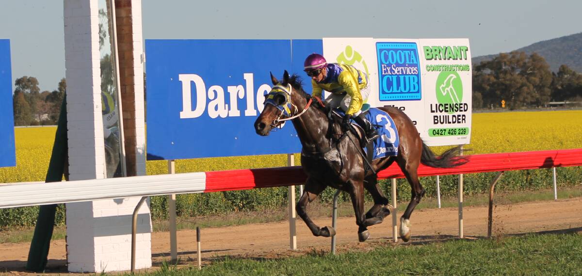 EASY DOES: Darci's Affair eases to victory for Kembla Grange trainer Bede Murray and Canberra jockey Brendan Ward. Picture: Cootamundra Herald