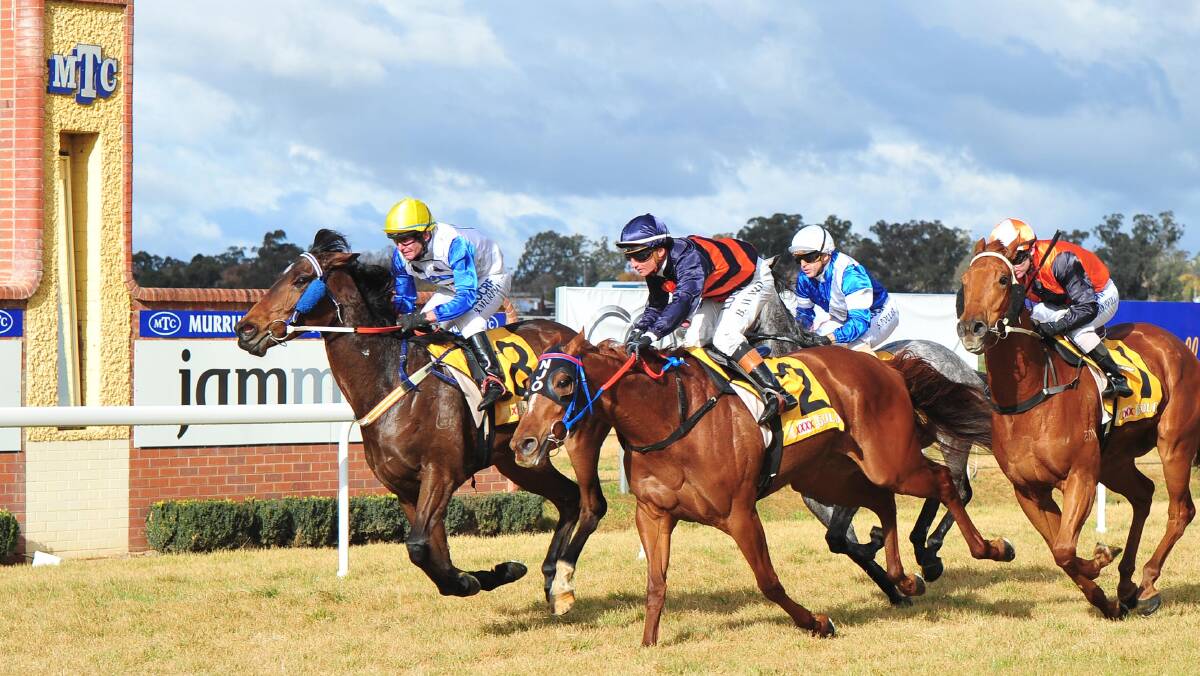 Sir Ottavio, pictured winning in 2015, is the top weight for the Riverina Cup (3800m) on Tuesday.