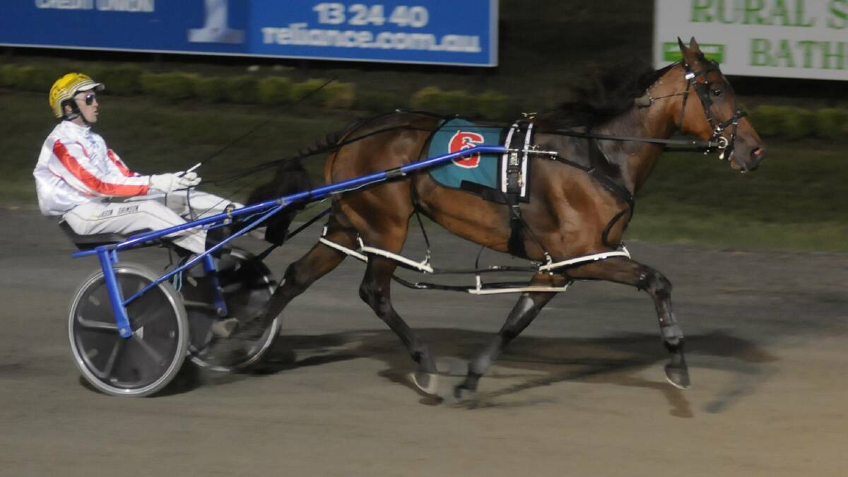 REPEAT DOSE: Jason Grimson's Dont Think Twice won another major Gold Crown Carnival trophy on Saturday by taking out the Gold Bracelet. Picture: Chris Seabrook 
