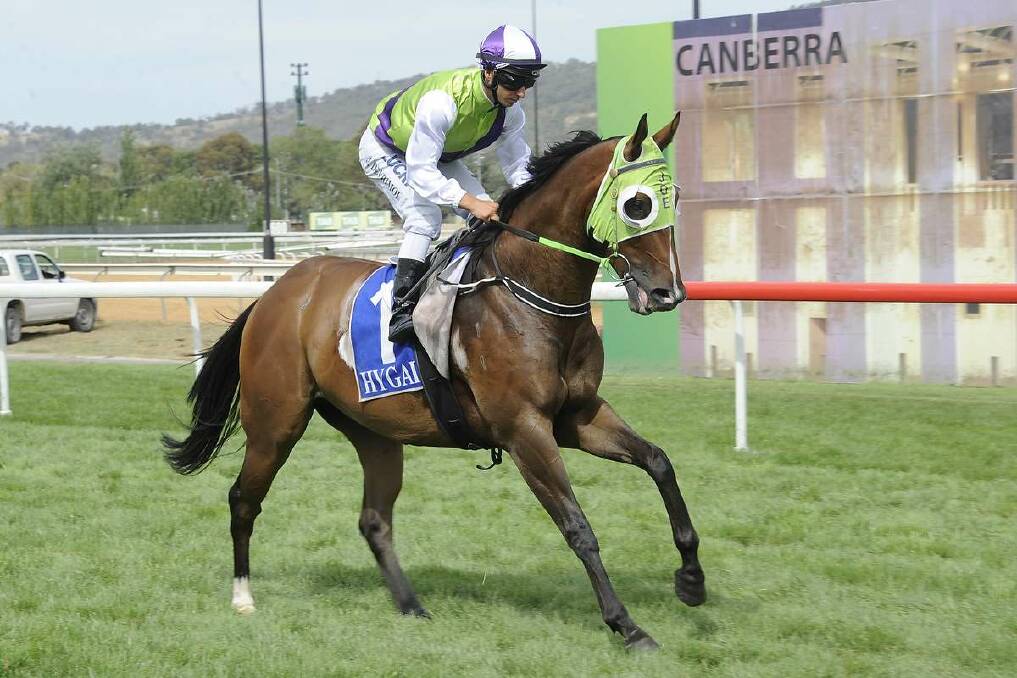 SIMPLY THE BEST: Quietly Brilliant at Canberra last start. Image by Bradley Photgraphers.
