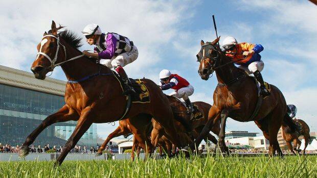 HORSE SENSE: A horse is a horse, of course, so why did the Murrumbidgee Turf Club not call off its meeting due to extreme heat when the Randwick races did?