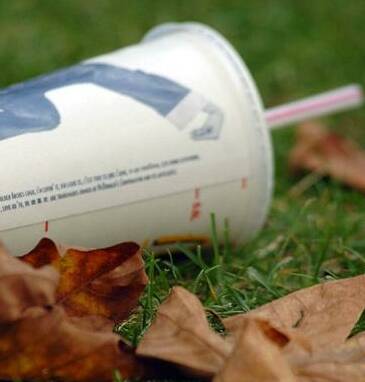 GONE TO GROUND: Letter writer Peter Dolden says fast food litter is a blight on Wagga's streetscape.
