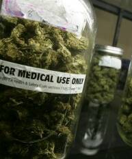 Personal stories at the heart of medical marijuana debate