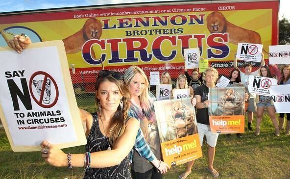 ANIMAL INSTINCT: A letter writer has encouraged locals to boycott the Lennon Bros Circus, which is currently in Wagga, because it still keeps exotic animals.