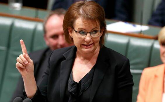 IN THE CROSSHAIRS: By vigorously pursuing embattled Farrer MP Sussan Ley, the media is showing a breathtaking double standard, a letter writer claims.