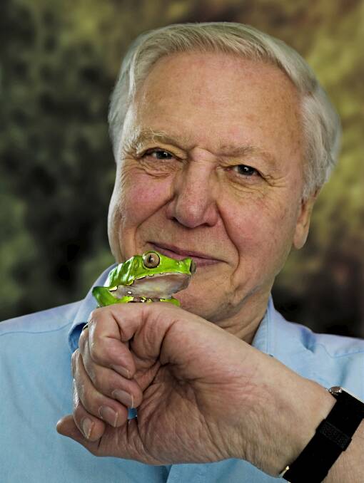 SIR DAVID ATTENBOROUGH surprised Wagga's Archie Comerford, 6, with a signed photograph after Archie sent Sir David a thank-you card for teaching him about frogs. 