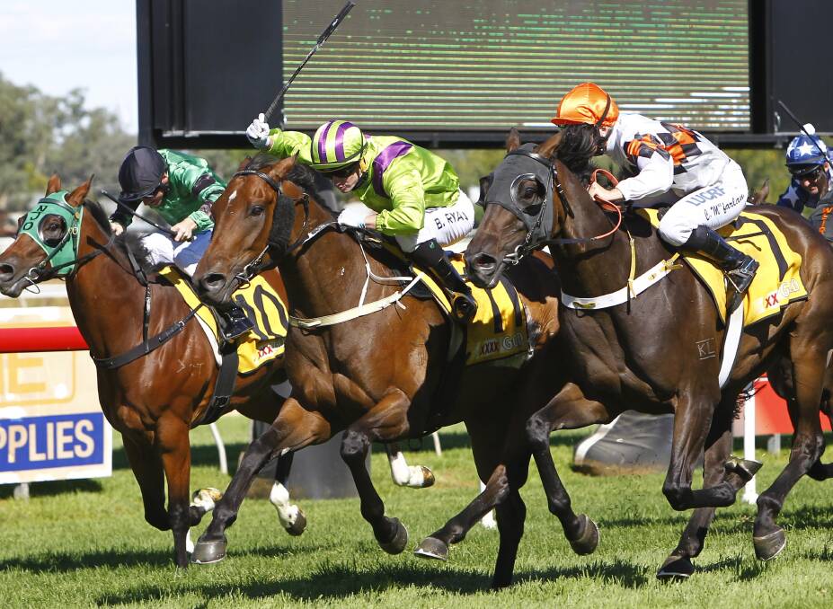 HOLDING ON: Brock Ryan urges Agrionius (left) to a narrow victory ahead of Overdue (right) and Orrstar on the inside. Picture: Les Smith