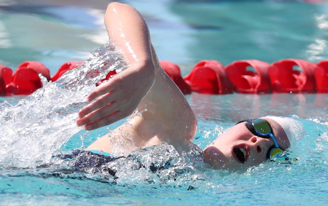 Wagga Public's Charli King set four records at the school's swimming carnival on Friday. Picture: Les Smith