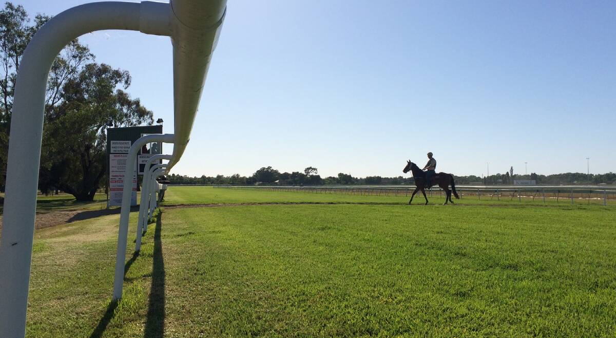CUP CARNIVAL: Wagga's big week on the track brings out the characters of racing.