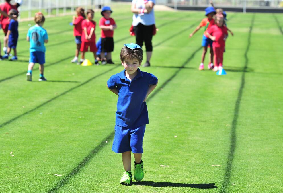 Some of the action on the track at Red Hill primary's day out at Jubilee Park. Picture: Kieren L Tilly