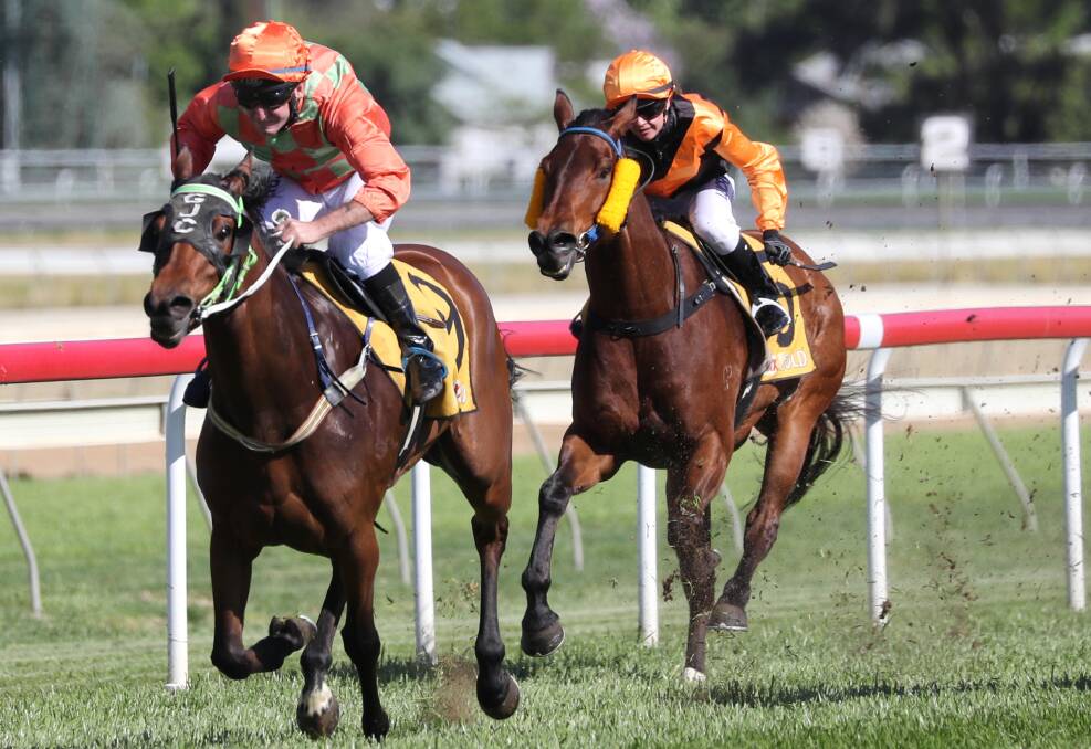 CITY-BOUND: The Gary Colvin-trained Allez Troienne cruises to a comfortable victory for jockey Bryan Murphy at the Murrumbidgee Turf Club's Caulfield Cup day meeting. Picture: Les Smith