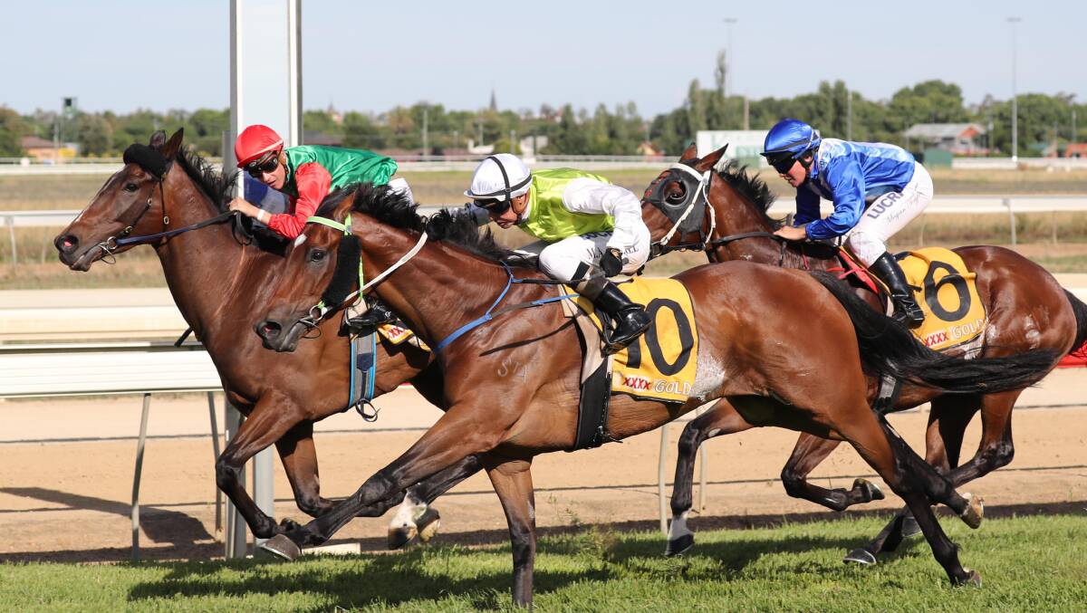 The Gary Colvin-trained Danetrilee (10) comes up just short of Cha Cha King (inside) in a thrilling finish to the Ted Ryder Prelude last week, with Kerry Weir's Bondo finishing third. 