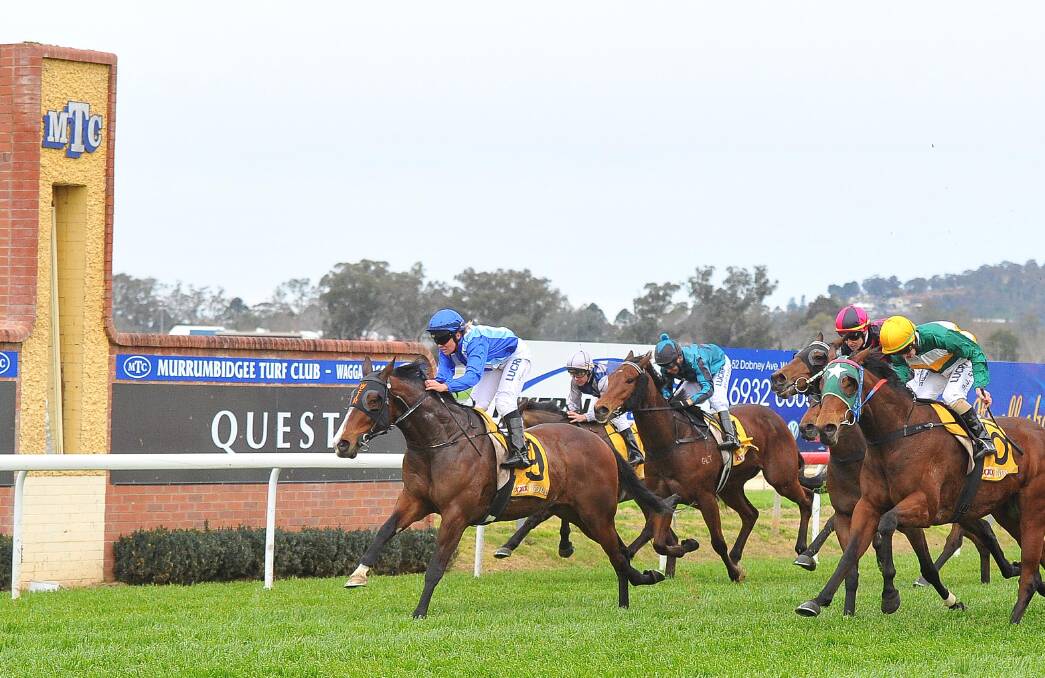 Jockey Megan Taylor rides Bondo to victory at Wagga last month in an all-too-rare meeting at the Murrumbidgee Turf Club. Picture: Kieren L Tilly