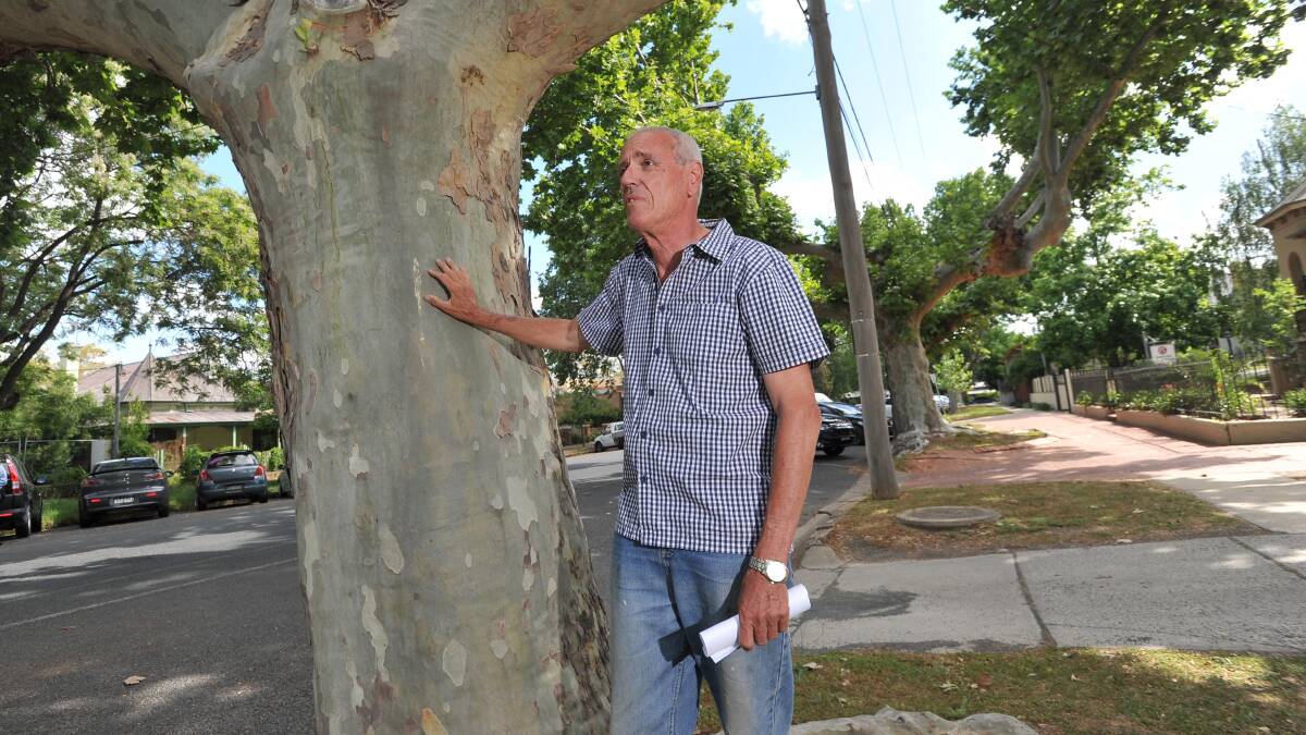 SAVE THE TREES: Kerry Geale is angry about the removal of plane trees in Wagga's Johnston Street. Council maintains they have reached the end of their useful life, but locals fear more plane trees could be removed, which will cost the city its charm. Picture: Laura Hardwick