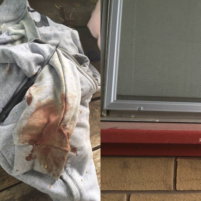 The blood-stained jumper and knife, and the bedroom's fly screen forced open. Picture: supplied