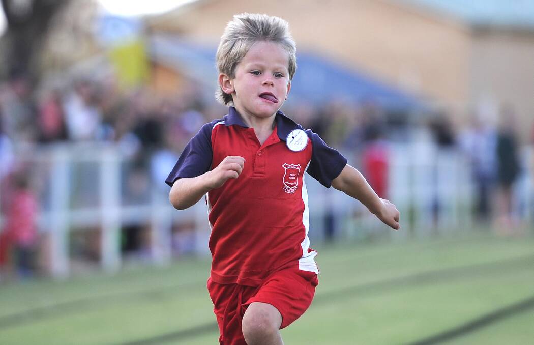 TAKING OFF: Joe Merrillis, 5, from Collingullie running the 80m sprint at the combined schools' athletics carnival on Wednesday. Picture: Laura Hardwick