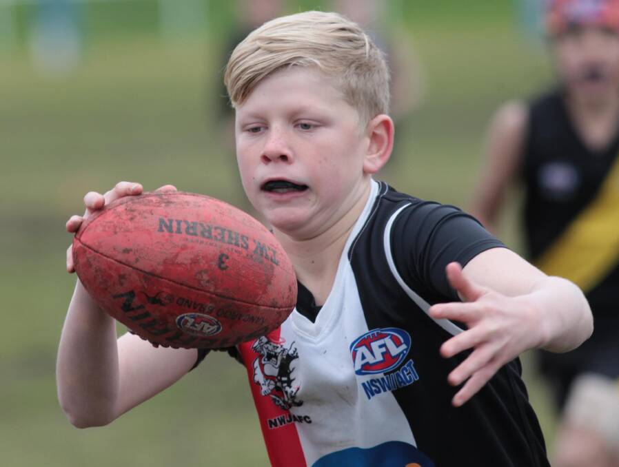Jake Scott looks for an option as Tigers play North Wagga in the under 11 junior AFL at McPherson Oval on Sunday. Picture: Les Smith
