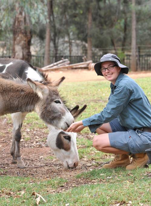 TALK TO THE ANIMALS: Zoo curator Rachel Ehsman feeds one of the crowd favourites, Forrest and Jenny. Picture: Laura Hardwick
