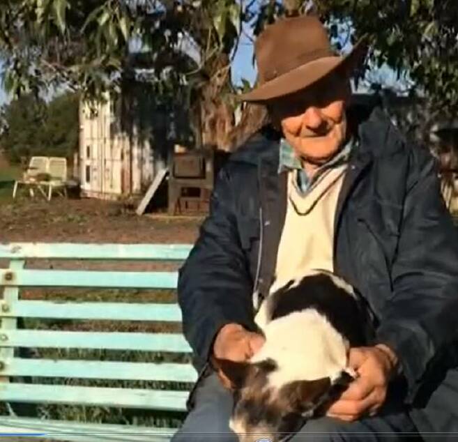 CALLOUS: Narrandera sheep farmer Henry Hornbuckle is devastated after his mates - two red kelpies - were taken at the weekend.
