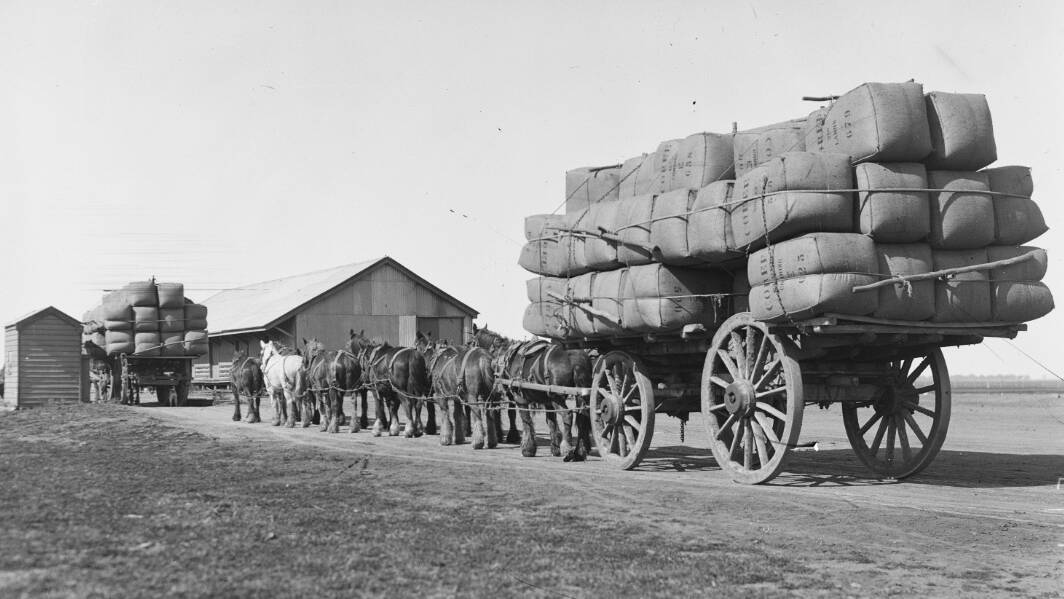 Teams of horses hauling wool arrive at Jerilderie Railway Station from Boonoke Station, New South Wales