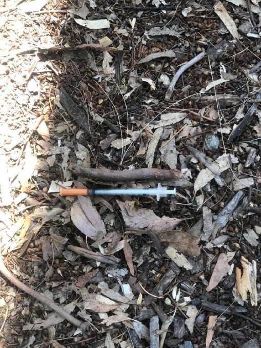 Filth: A used needle, found at Wagga's Bottanic gardens, has prompted a call for more sharps disposal bins across the city. Picture: Supplied 