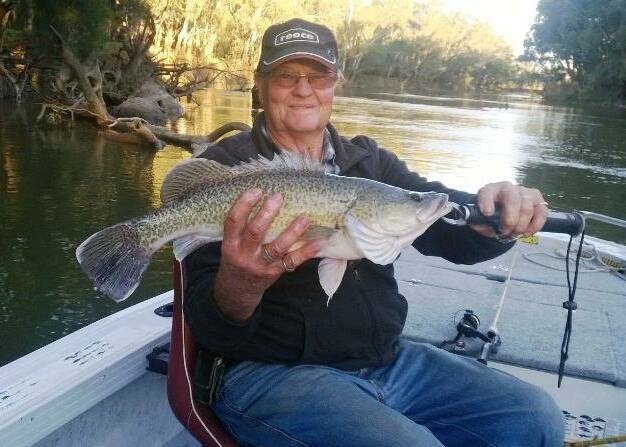HAPPY DAYS: The Murrumbidgee came up trumps for Robert Bolton, who reeled in this Murray cod. Picture: Contributed
