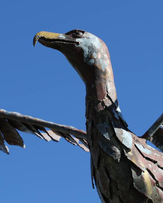 RISE UP: Soaring above Flourish is a beautiful eagle sculpture, made by the late Michael Murphy, whose work also adorns two roundabouts in Peter Street. 