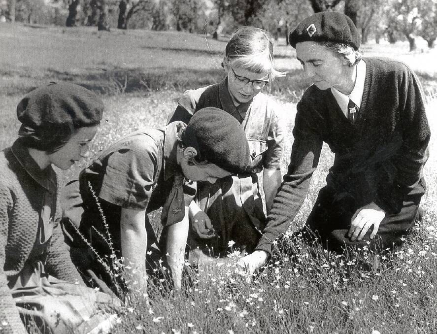 HANDS ON: Trixie Read’s involvement in guiding began in 1922 and continued all her life. She is pictured here with Brownies on a nature walk in North Wagga. Picture: Sherry Morris Collection

