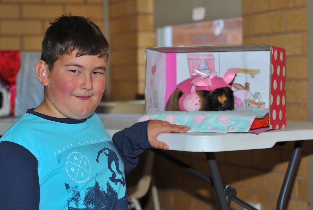 HAPPY TO HELP: Will Wendt, 8, of Wagga, with his pet Bingle at a guinea pig show fundraiser for breast cancer recently. Picture: Kieren L Tilly