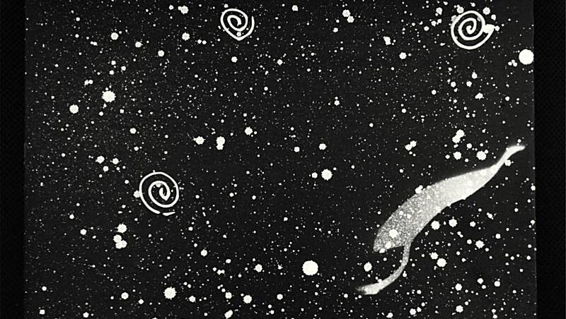 SONGLINE: Mark Saddler's artwork “Dinawan Mulaa Wir” (emu night sky). Picture: Mark Saddler