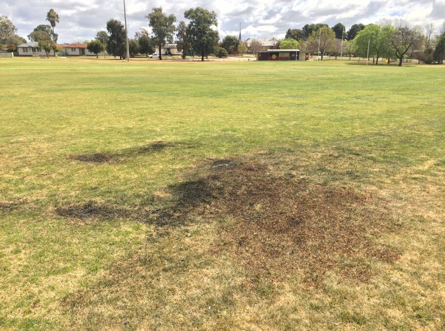 SCORCHED: The site where the stolen car was set alight on Jack Misson Oval, Ashmont on Sunday night. Picture: Marguerite McKinnon