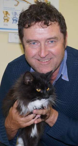 SET THEM FREE: Wagga vet Mark Sayer believes cats aren't meant to be kept confined indoors around the clock.