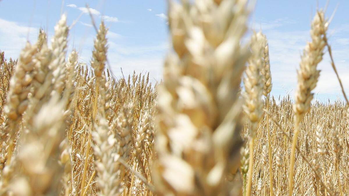 Grains move sparks debate