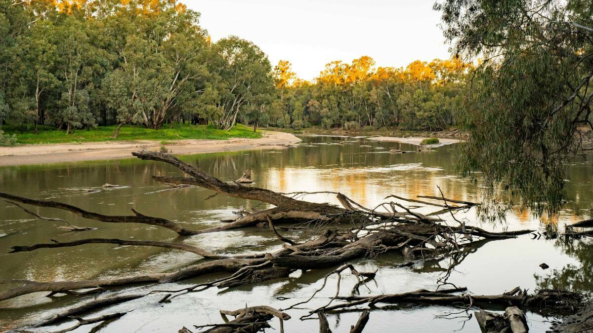 Feedback is being sought about the naming of a shore along the Murrumbidgee River in the Narrandera LGA. Picture file 