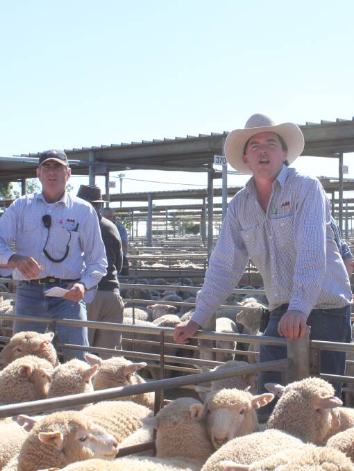 NOT A BAA-D IDEA: Riverina Livestock Agents auctioneer James Tierney at the Wagga Livestock Marketing Centre, which has been mooted as a tourist destination.
