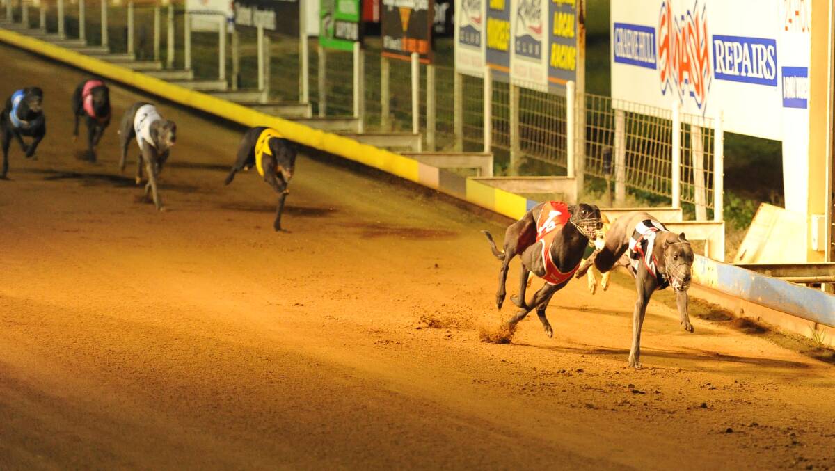 Live chickens and rabbits were used after hours on Wagga track, says industry insider.