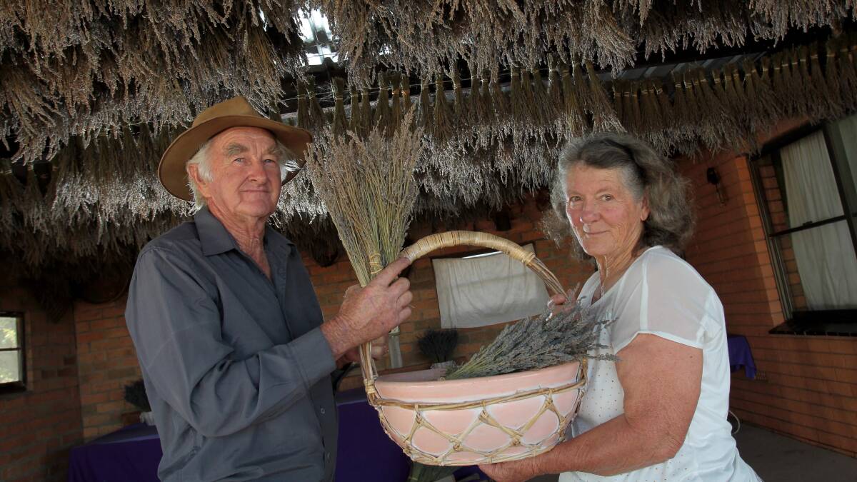 FAR AND WIDE: Rustique Lavender owners Doug and Lil Bye say interest in agriculture has attracted 'huge' visitation to their farm at Book Book. Picture: Les Smith