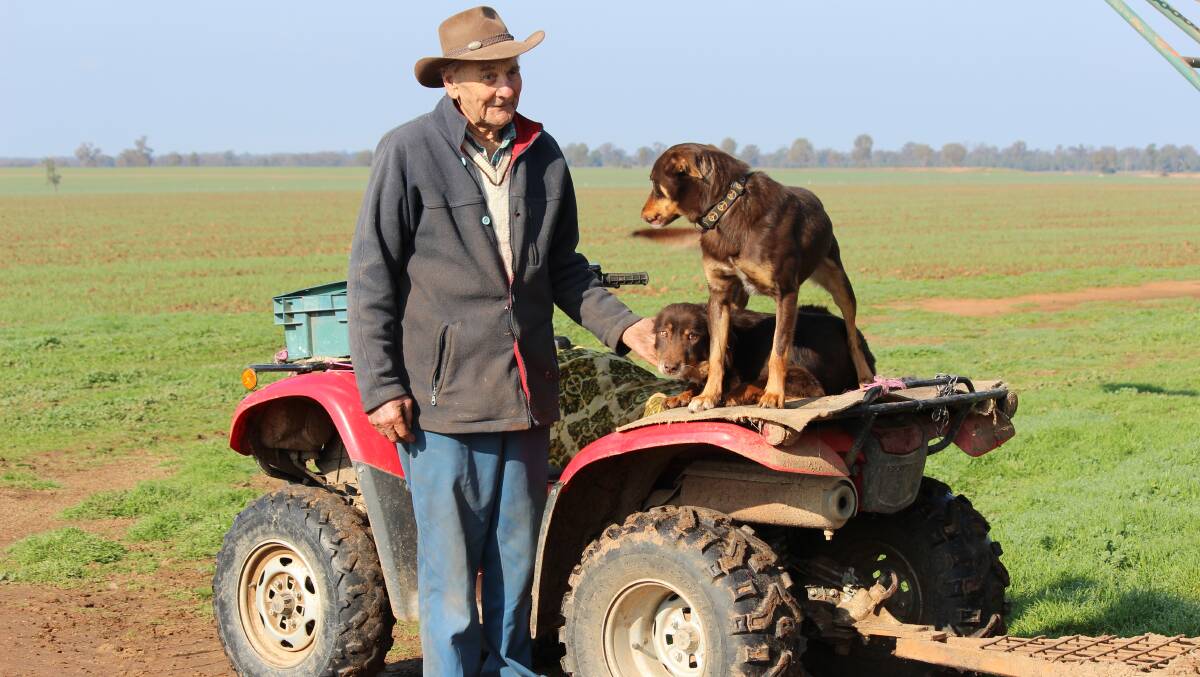 Henry Hornbuckle is reunited with his two kelpies Buster and Woody on Tuesday.