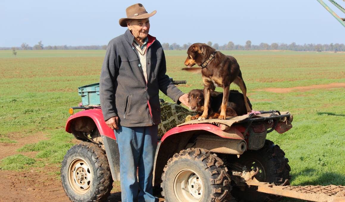 RELIEVED: Narrandera farmer Henry Hornbuckle, 88, is reunited with his working dogs Buster and Woody on Tuesday. Picture: Briana Bryon