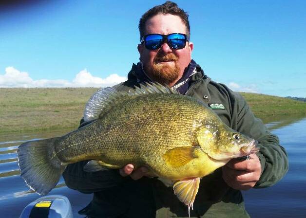 PRIZED CATCH: Allan Collins with a yellowbelly caught at Windamere. Send your pictures to – craig@waggamarine.com.au or 0419 493 313.