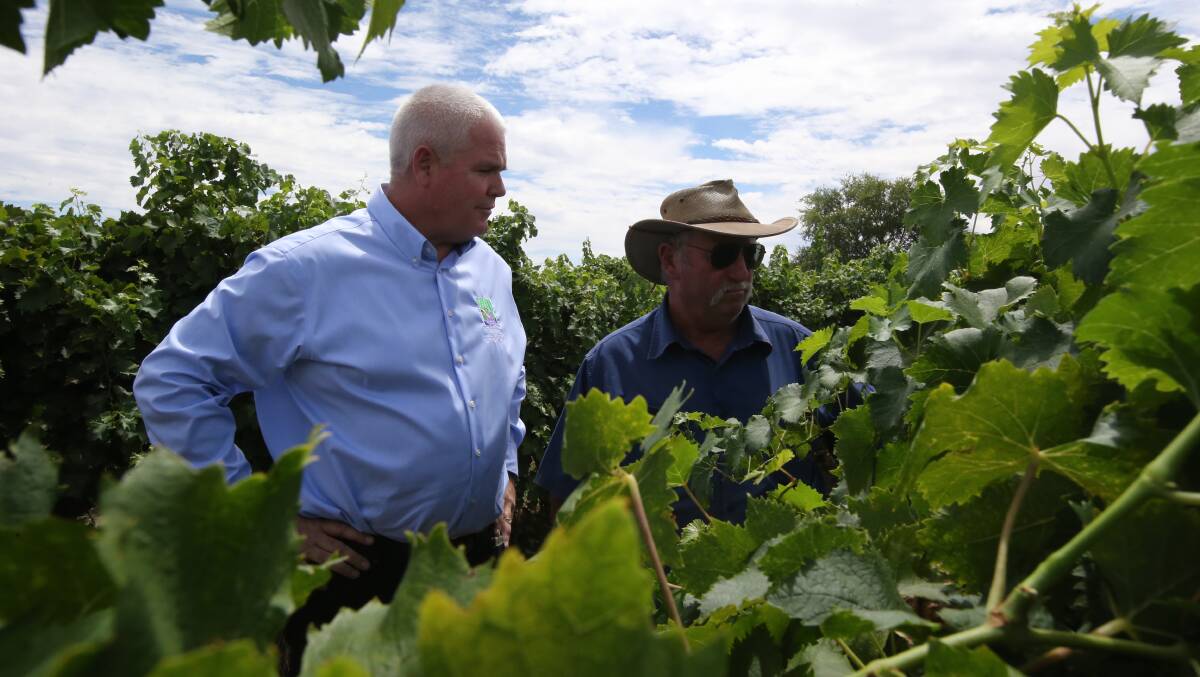 GRAPE ESCAPE: Wine Grapes Marketing Board chief Brian Simpson with Griffith farmer Leo De Paoli. Picture: Anthony Stipo.
