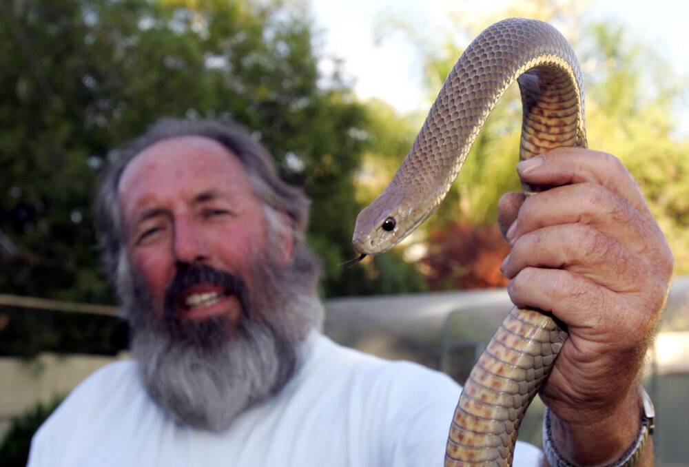 TAKE CARE: Wagga's own "snake man" Tony Davis said he has been relocating three to four snakes a day as the weather warms up.