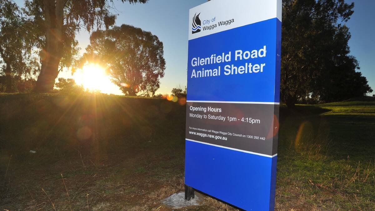 More than 120 dog attacks in 18 months in Wagga